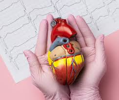 TAVI Doctor in Delhi