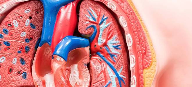 Aortic regurgitation leaking aortic valve consultation Jaipur
